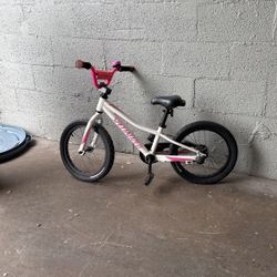 Specialized Girl Bike 