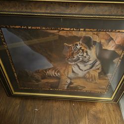 Tiger pictures sets