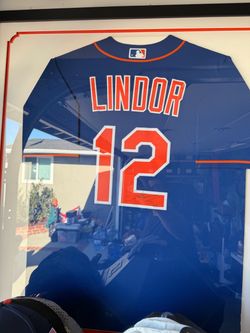 Framed Auto Francisco Lindor Jersey