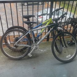 Two Bikes, And One For Parts 
