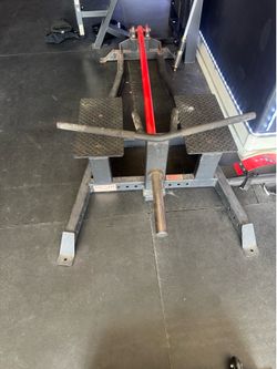Rogue T bar Row