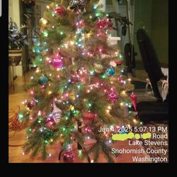 Christmas Tree