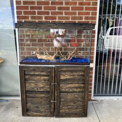 45 gallon Aquarium + Custom Stand & Top – Complete Setup!