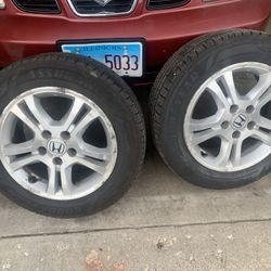 Need Gone 