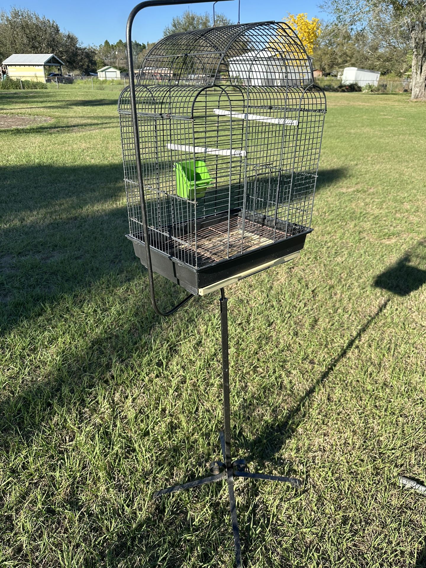 Bird Cage