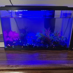 5 Gall Fish Tank With Blue light And Filter