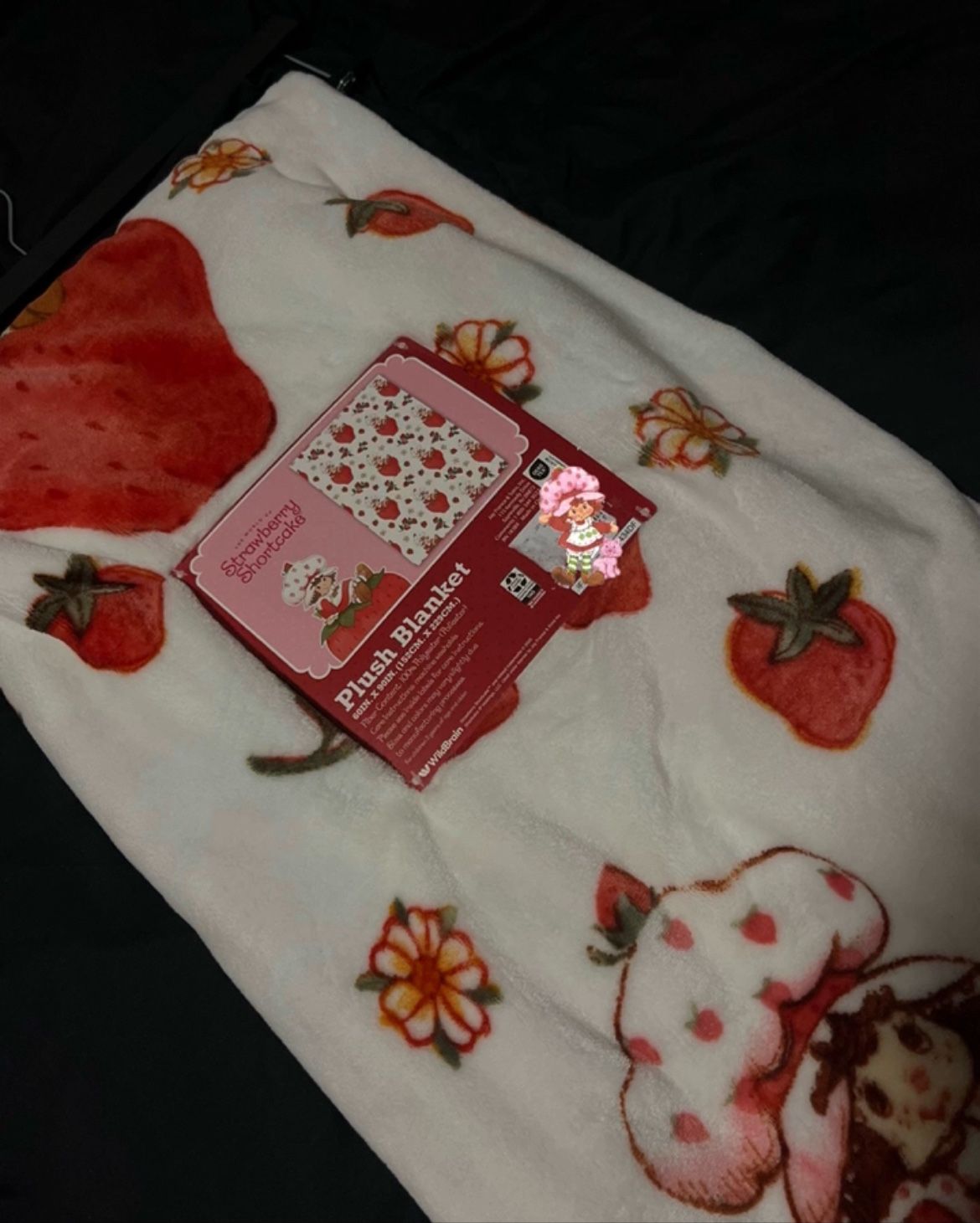 Strawberry Shortcake Blanket