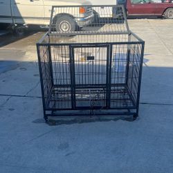 Dog Cage 