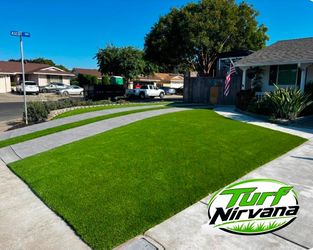 Huge discount turf sale .89