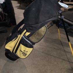 Golden Club/bear 220 Golf Bag And Clubs 