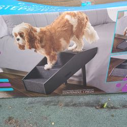 Steps/ramp.