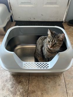 Stainless Steel Sifting Litter Box