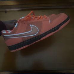 Orange Lobster Dunks 