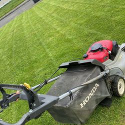 need to cut your yard let me know an affordable price