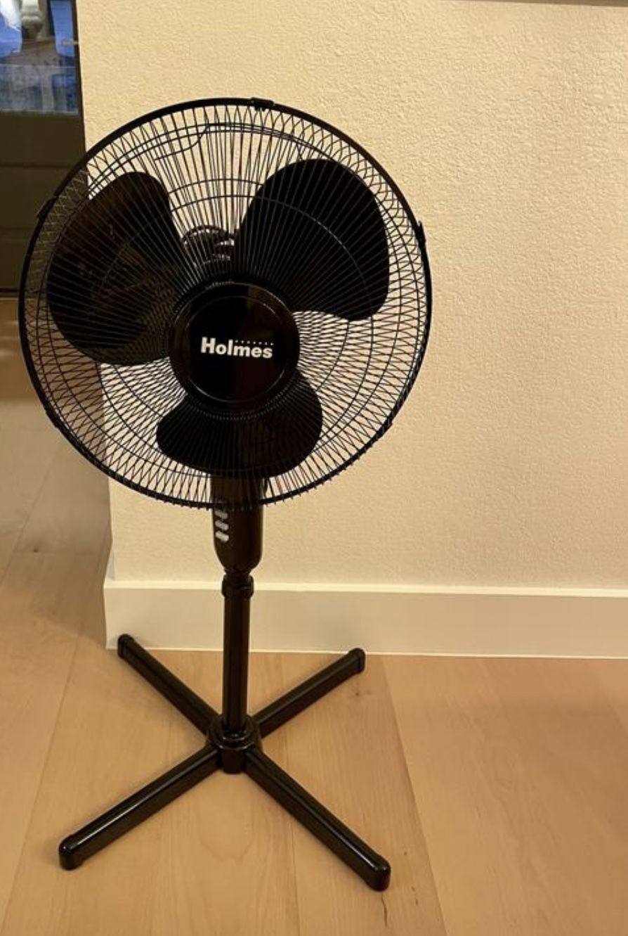 HOLMES 16 inch OSCILLATING FAN H M L FIRM PRICE. IN EAGLE ROCK