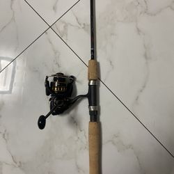 Diawa Bg 2000 On 6ft Falcon Rod 