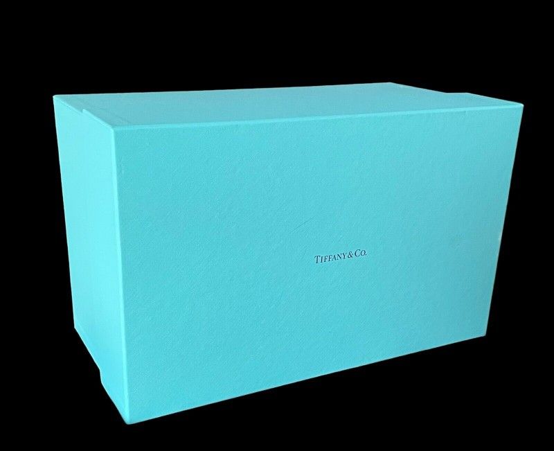 Tiffany Blue 13x8x6.5" EMPTY Gift Box