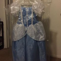 Disney Princess Cinderella size 6