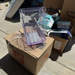 Bird Cage 