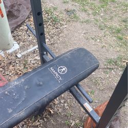 Weight Bench 