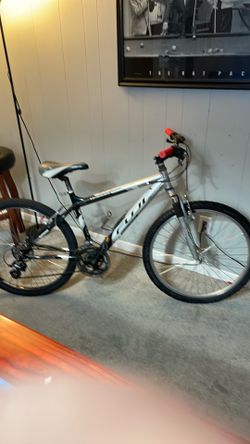Fuji Odessa bicycle.
