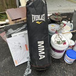Punch Bag