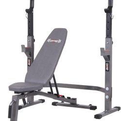 Gym Bench Adjustable Comes With Barbel And Weights 