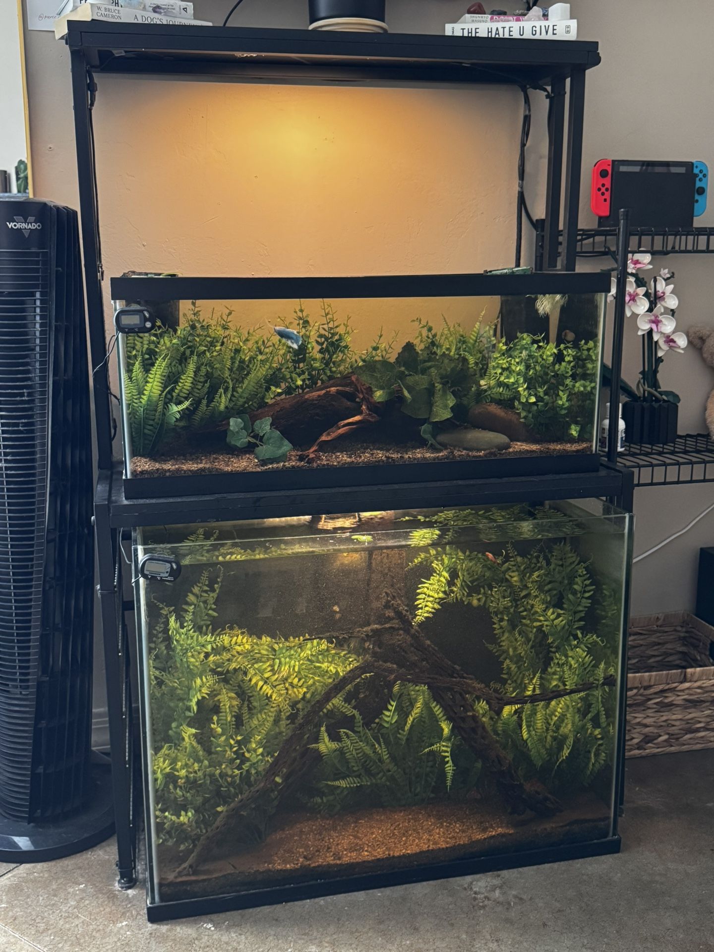 Fish Tanks