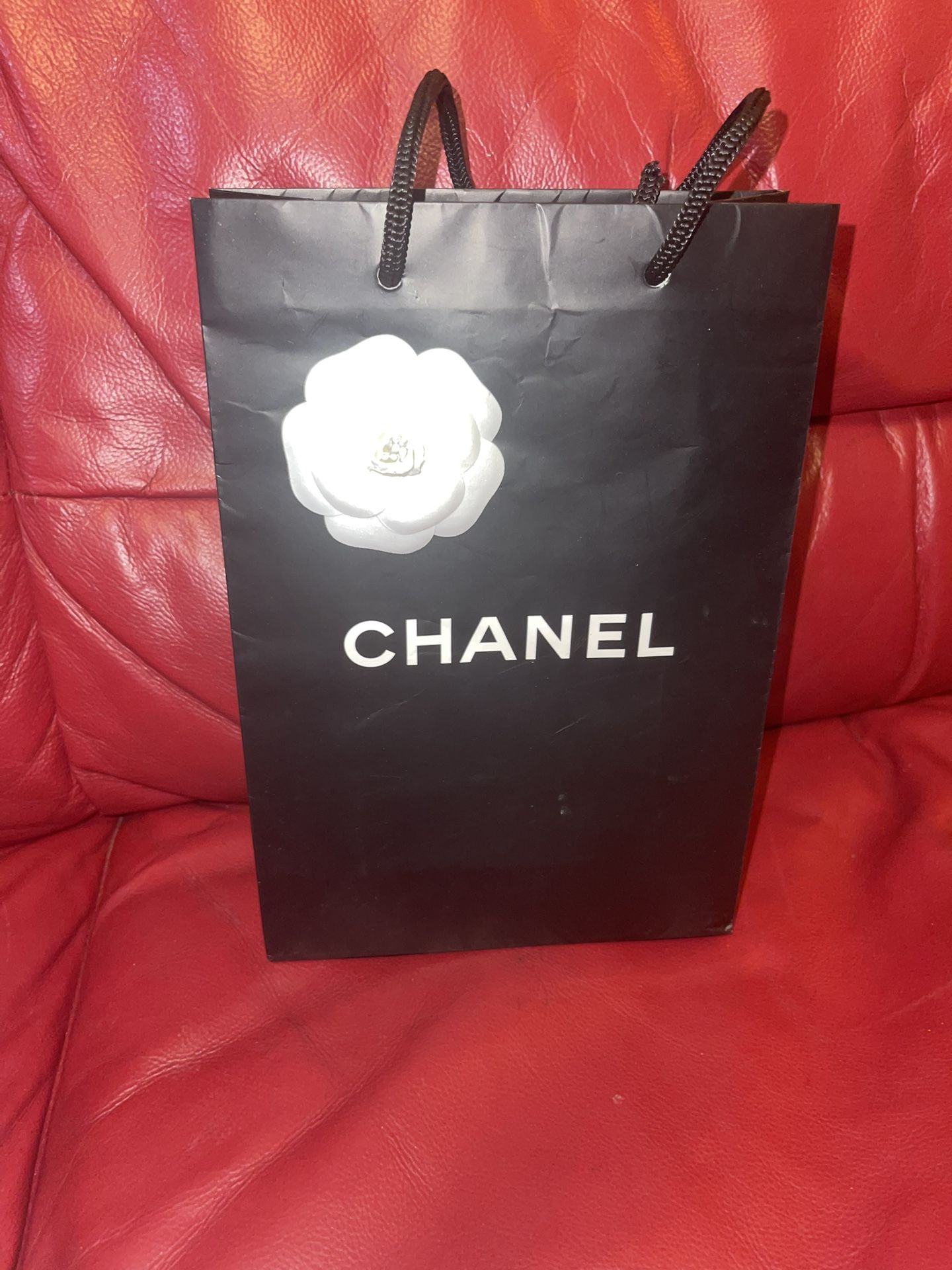 Chanel Paper Bag 