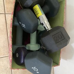 Gym Equipment