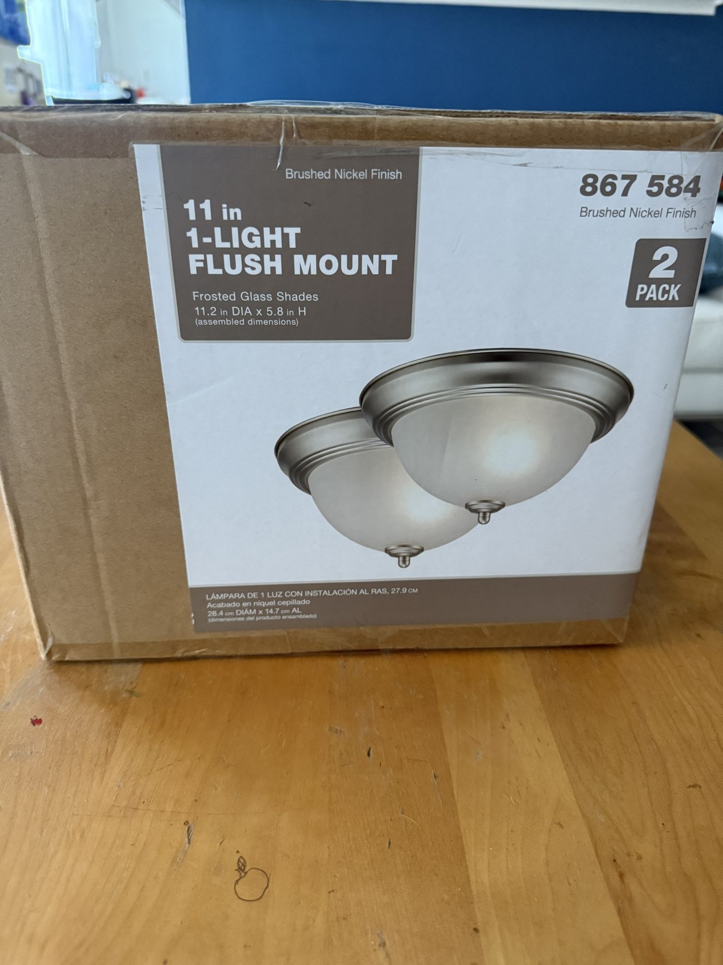 11 in. 1-Light Brushed Nickel Flush Mount with Frosted Glass Shade (2-Pack Lámpara de luz