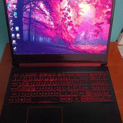 Acer Nitro 5 Rtx 3060