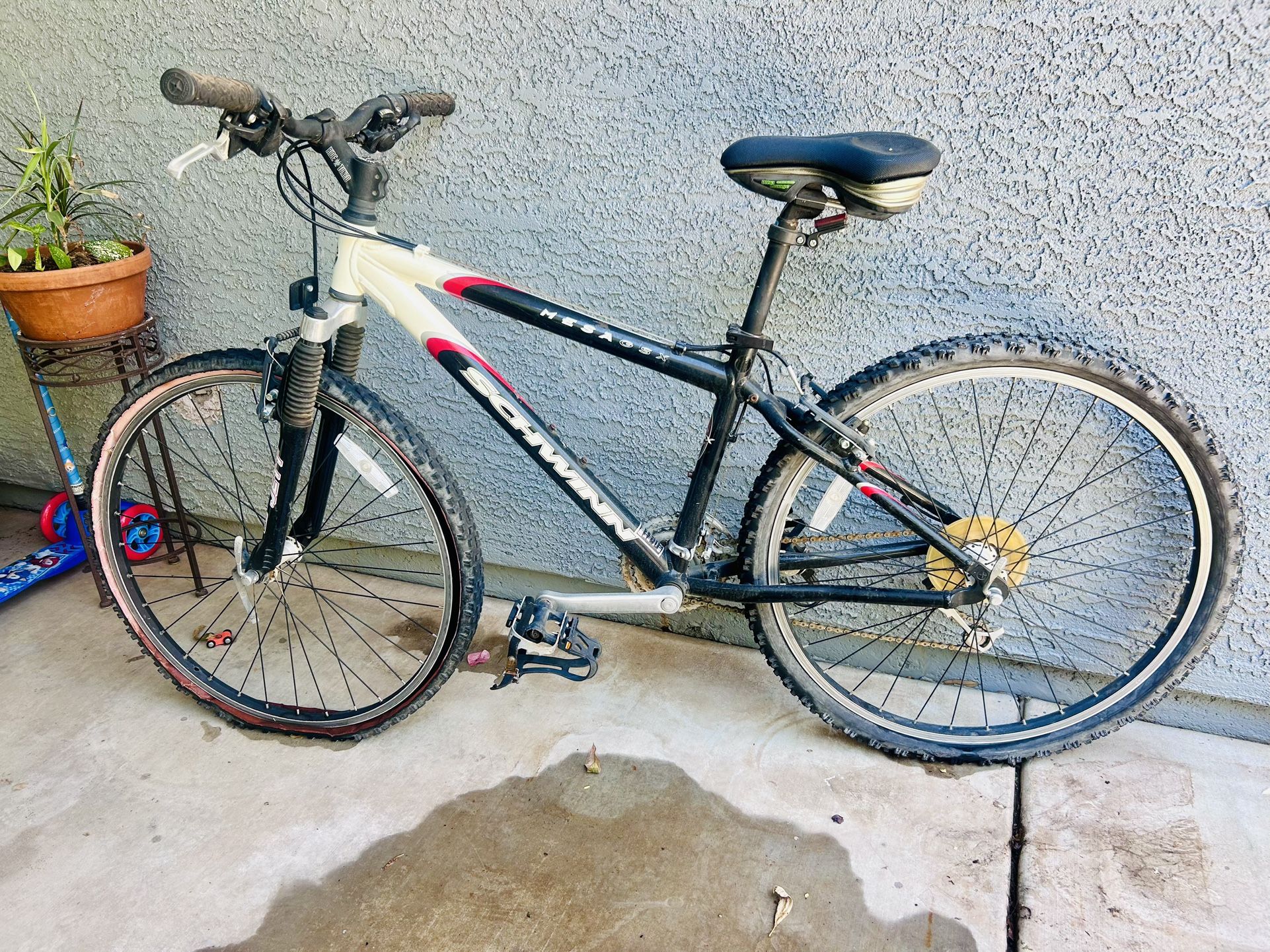Mountain Bike (Schwinn)