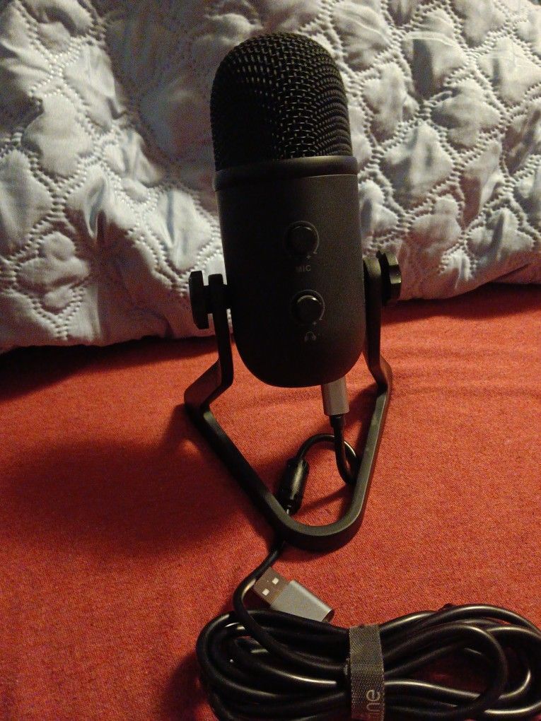 USB dual microphone