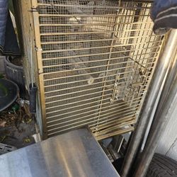 Bird Cage
