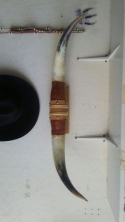 Horns 3.5 ft