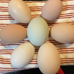 Farm Fresh Eggs