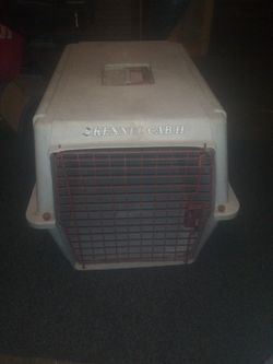 1 animal dog cat cage cages