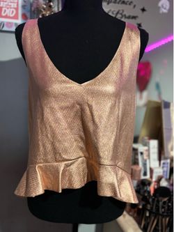 NWT Zara Trafaluc Metallic Top