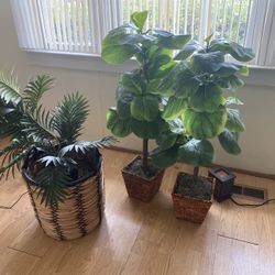 Artificial Plants 