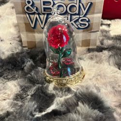 Disney princess Wallflower 