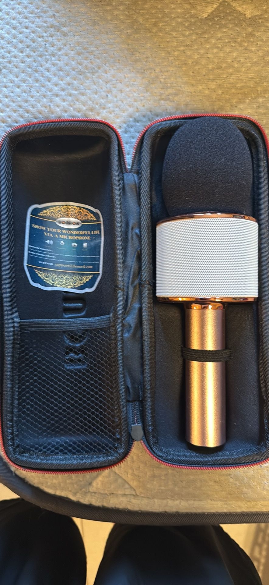 Karaoke Microphone