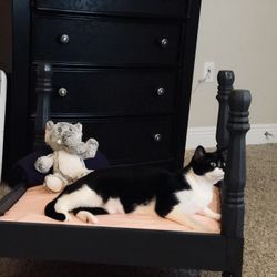 Hand Made Four Poster Pet Bed 