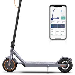 Electric Scooter,