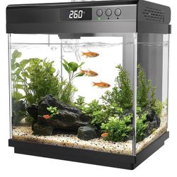 AQQA 3.7 Gallon Aquarium