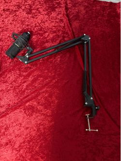 Mic and Arm