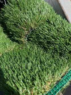 Synthetic Turf