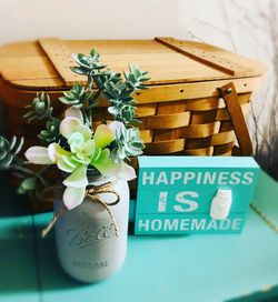 Decorative Succulents Mason Jar