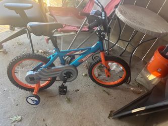 Smoky’s bike with training wheels