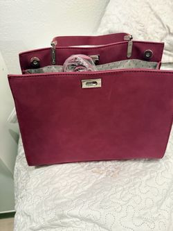 Vanessa Williams purse